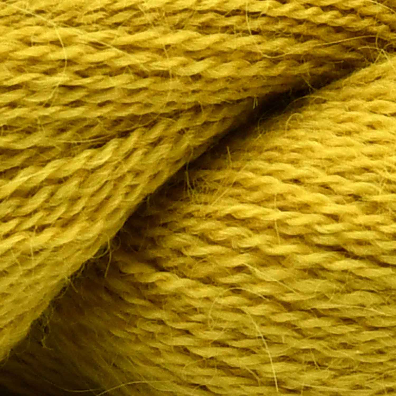 Alpaca Lace Alpaca Lace: 024 | gelb